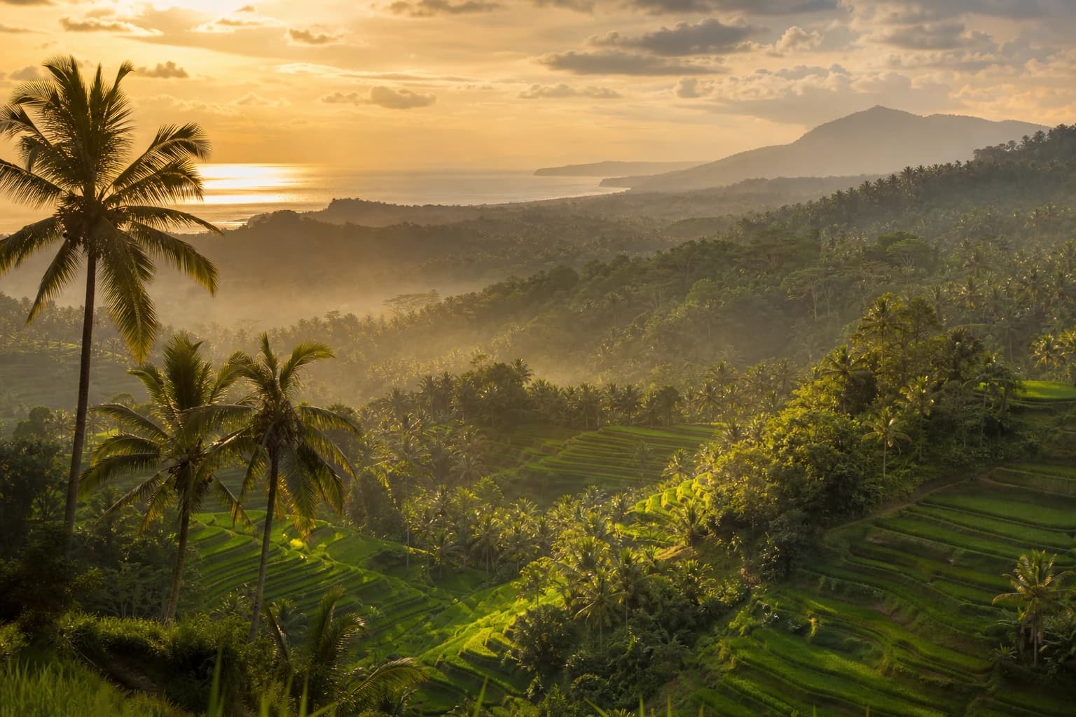 Cinematic view of Canggu at sunset
