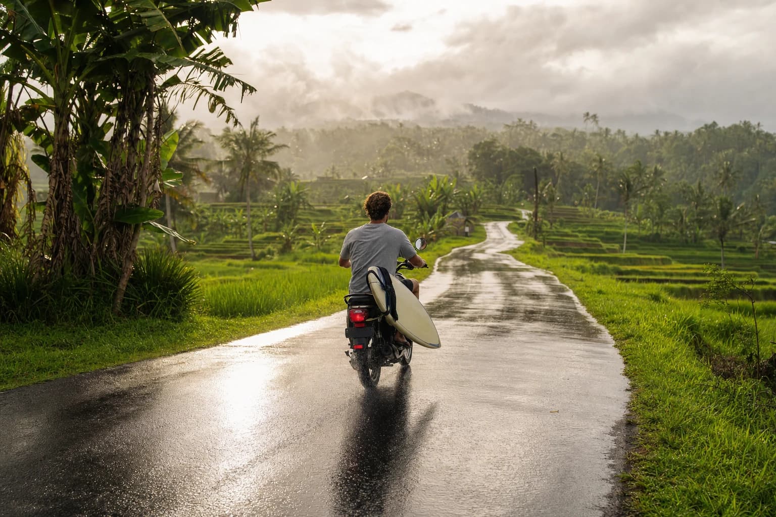 Scooter carrying a surfboard along a wet road lined with rice paddies near Ubud, Bali, low monsoon sky and silvery light