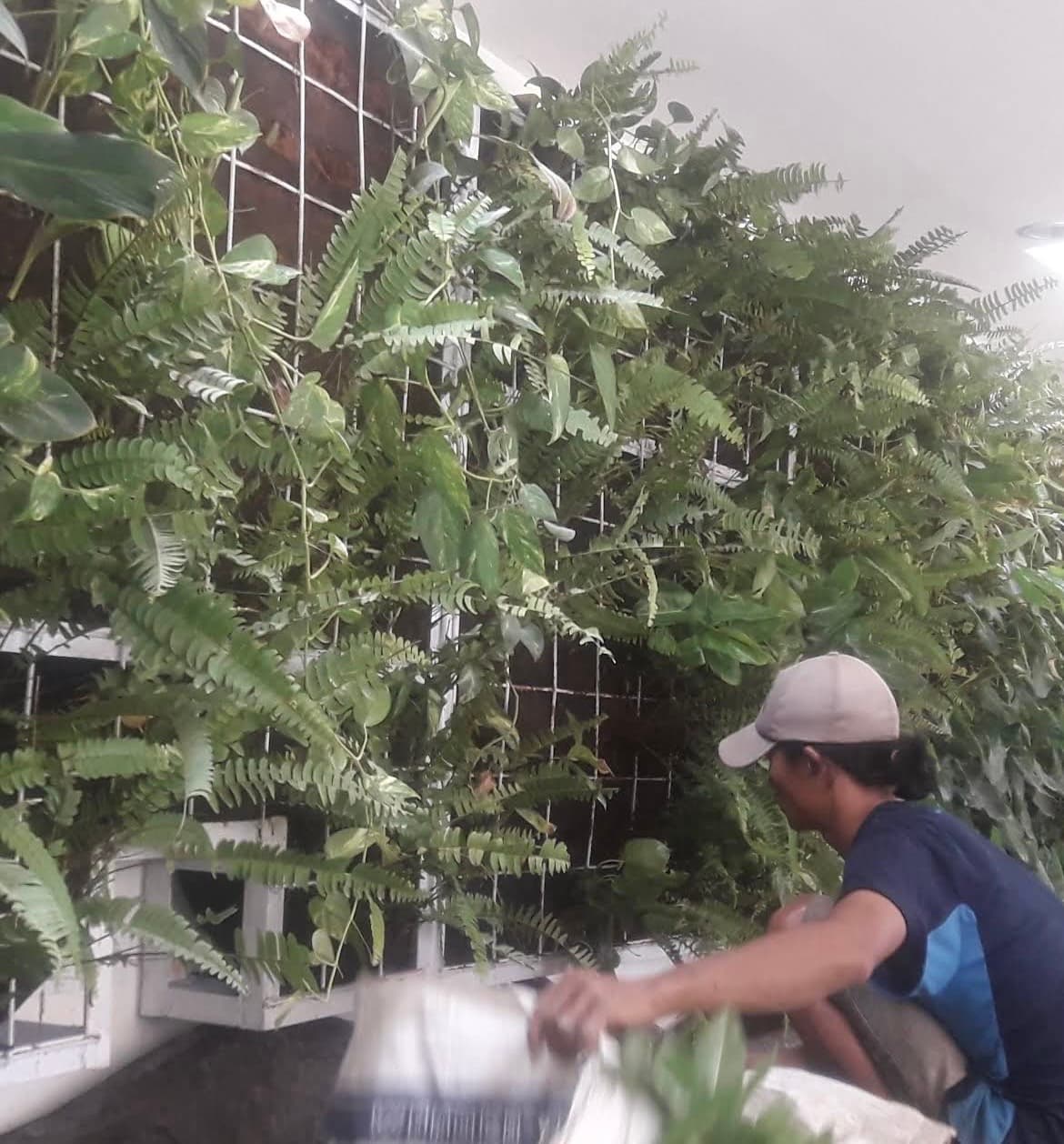 Tukang Taman Srikandi Garden – Jasa Pembuatan & Perawatan Taman (1/3)