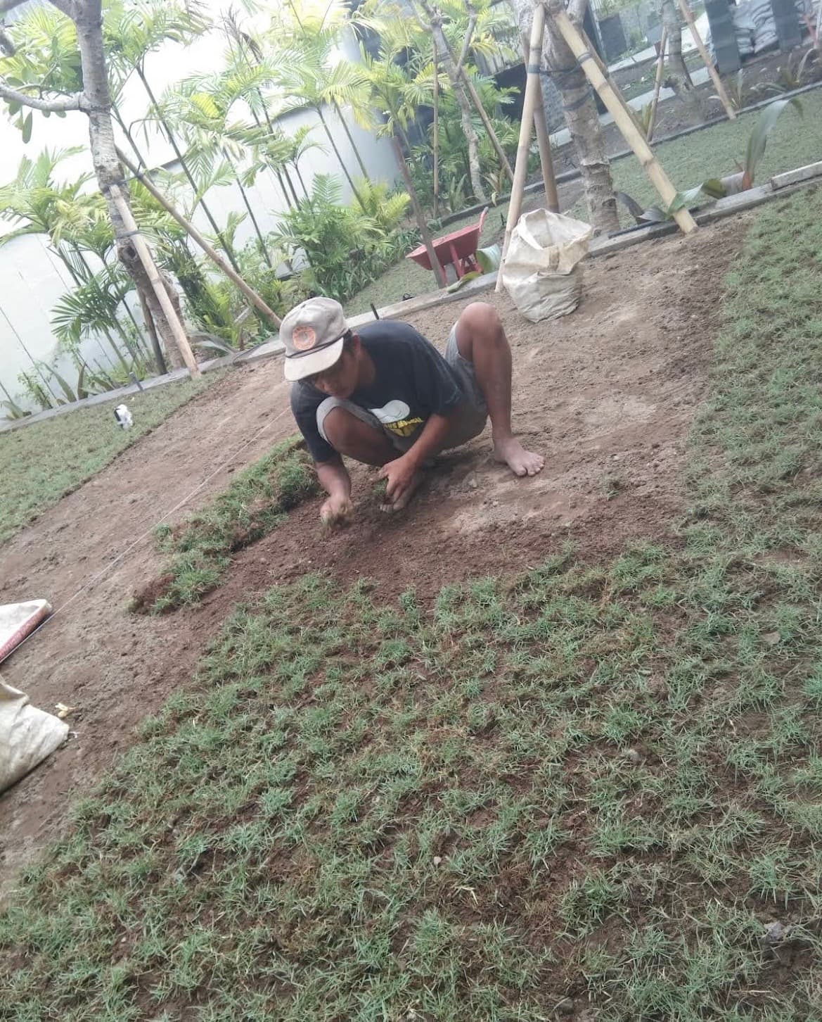 Gardening Services – Savana Sari Jaya Garden (1/3)