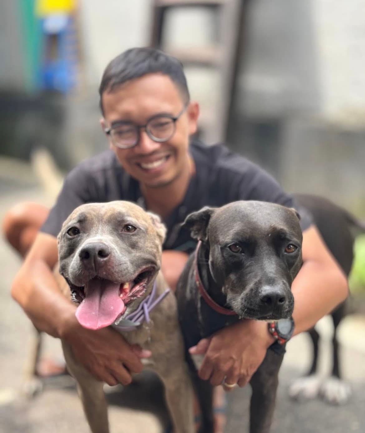 Dastan Dog villa (Boarding & Pet Care) — photo 1