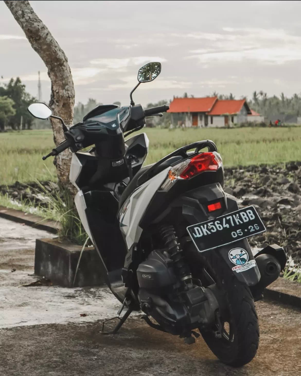 Honda Vario 125 cc (1/2)