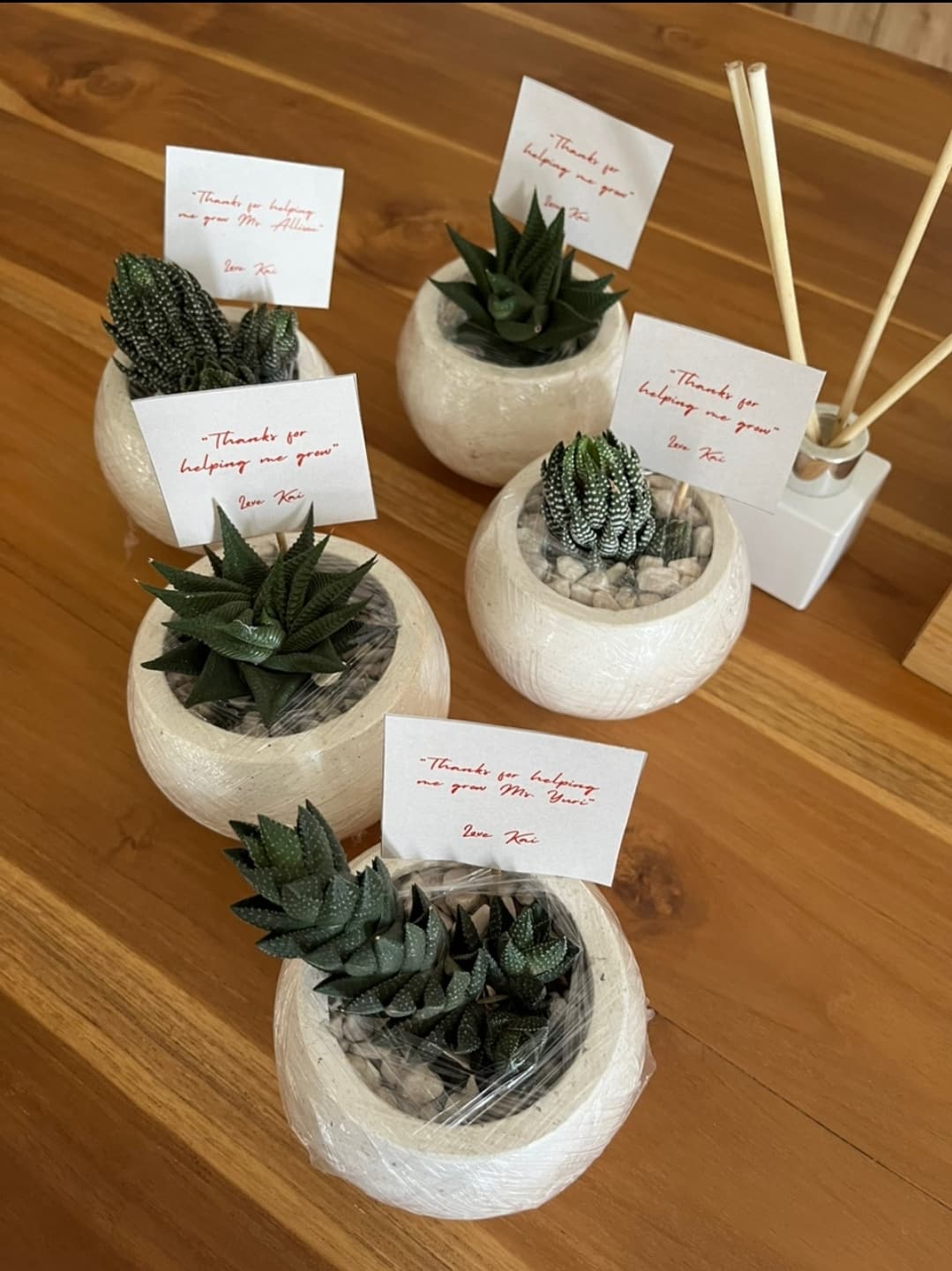 SMALL PLANT, BIG CHARM ! (1/3)