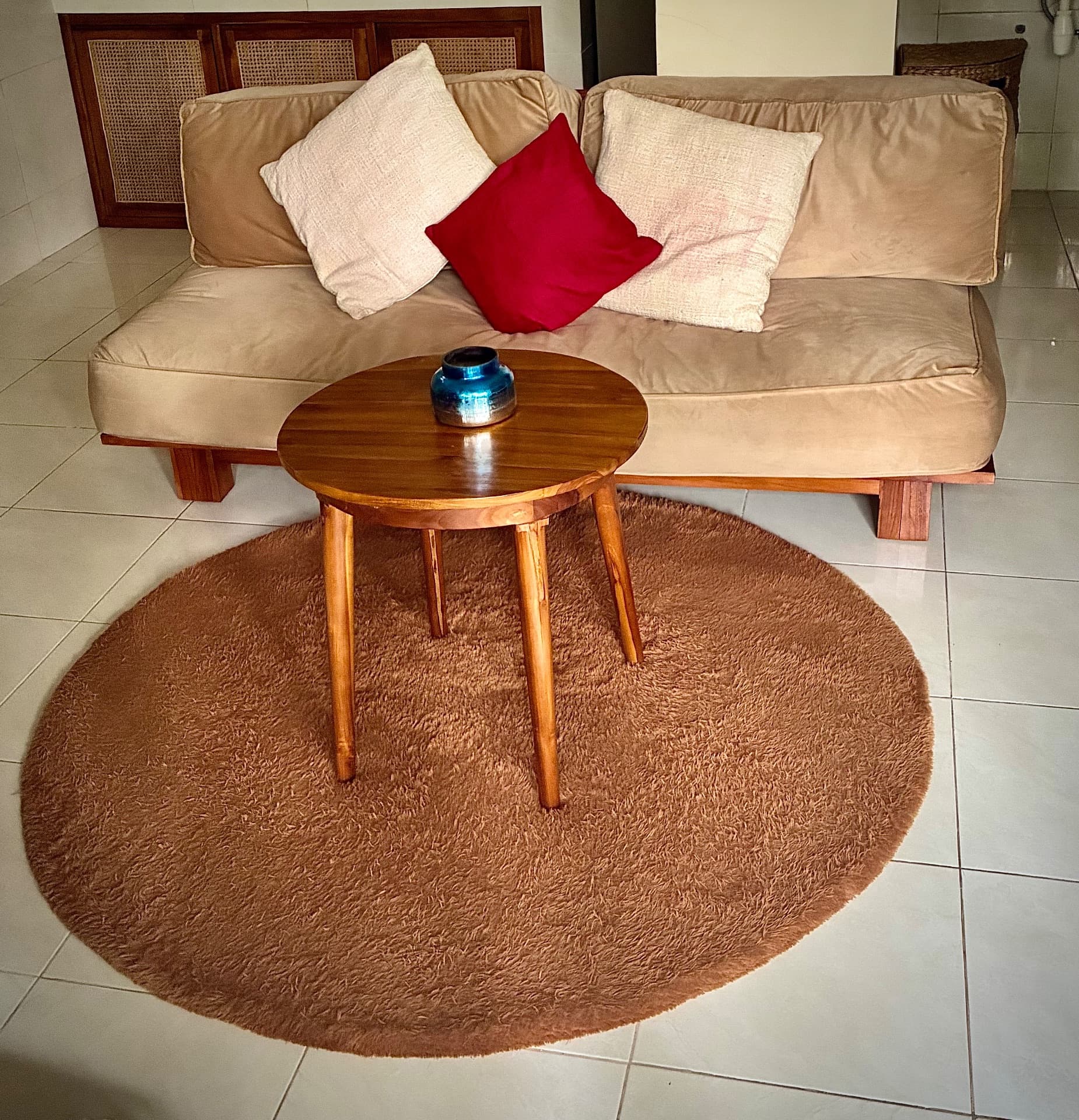 ☁️Really Soft and Comfortable Velvet Like Couch and Rug (1/2)