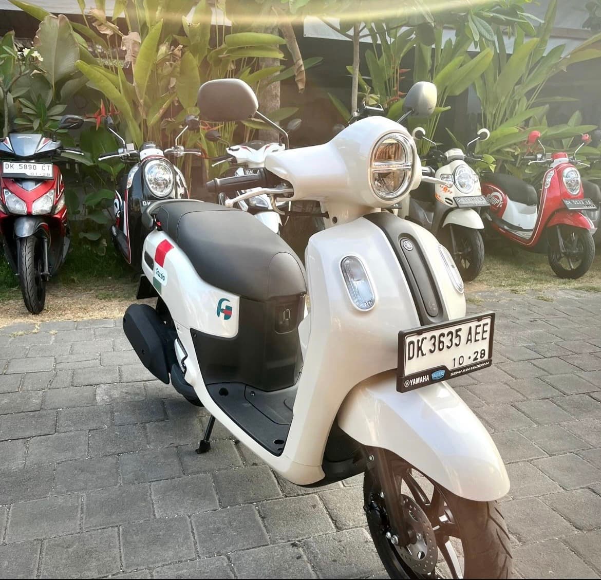 Yamaha Fazzio motorbike rental (1/3)