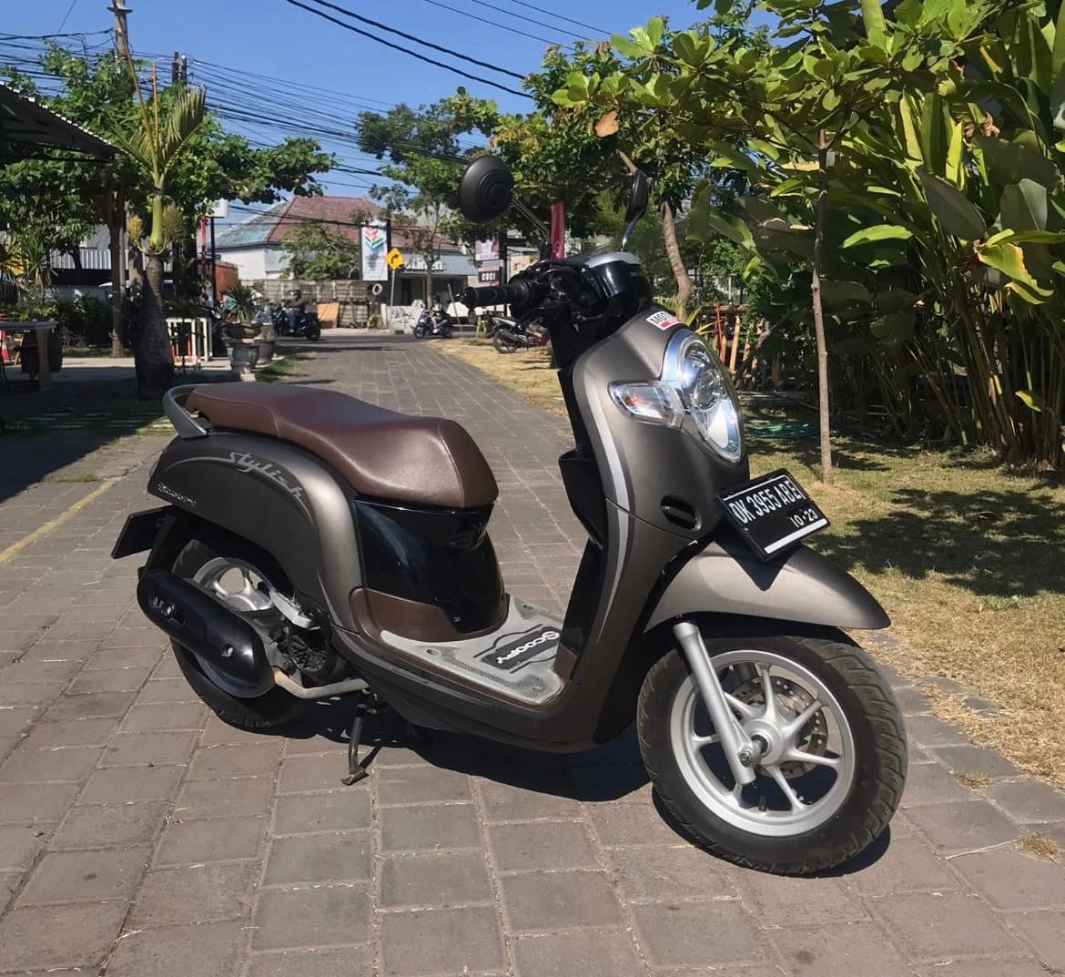 Honda Scoopy Stylish motorbike rental (1/3)