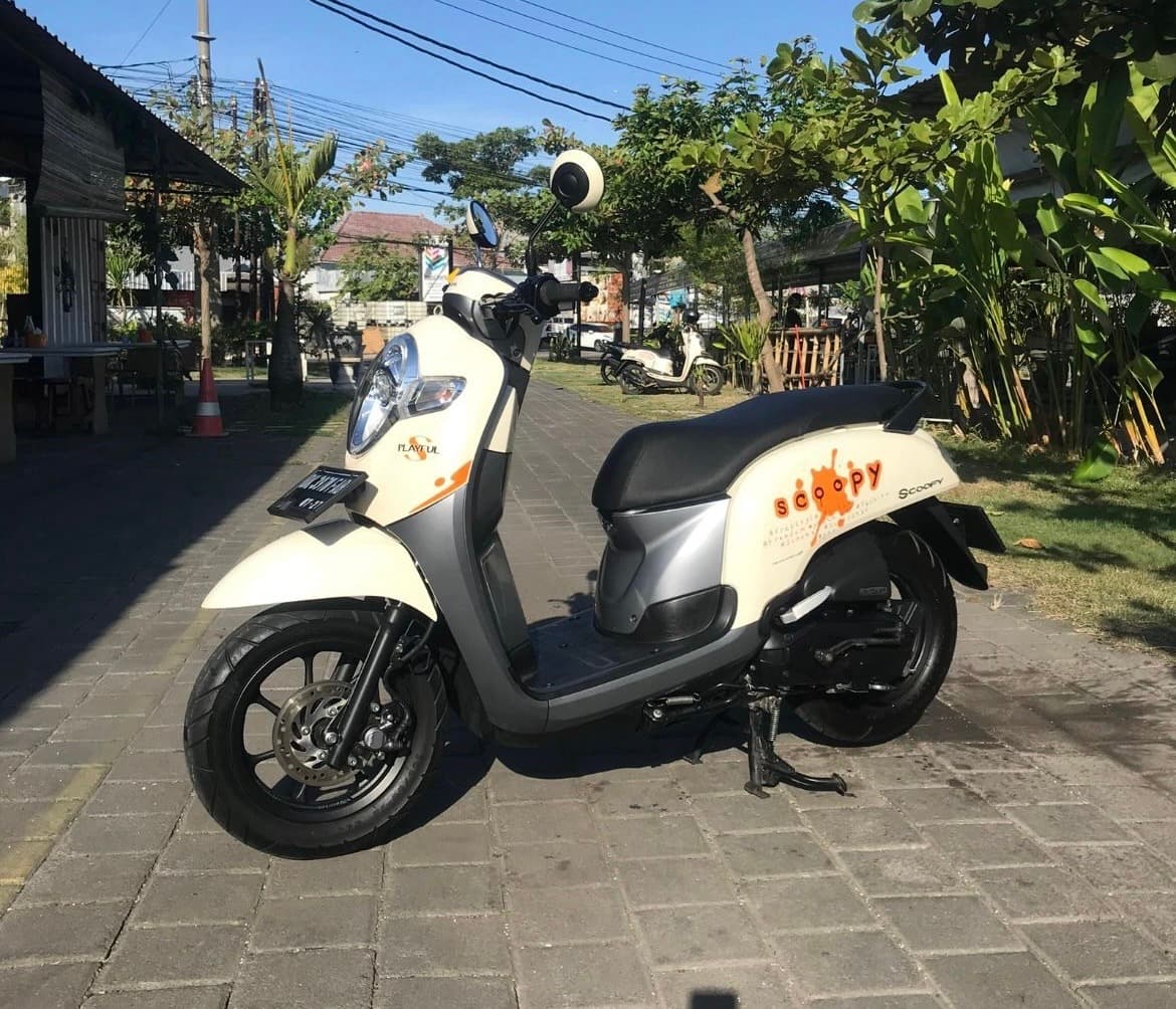 Honda Scoopy Stylish motorbike rental (1/3)