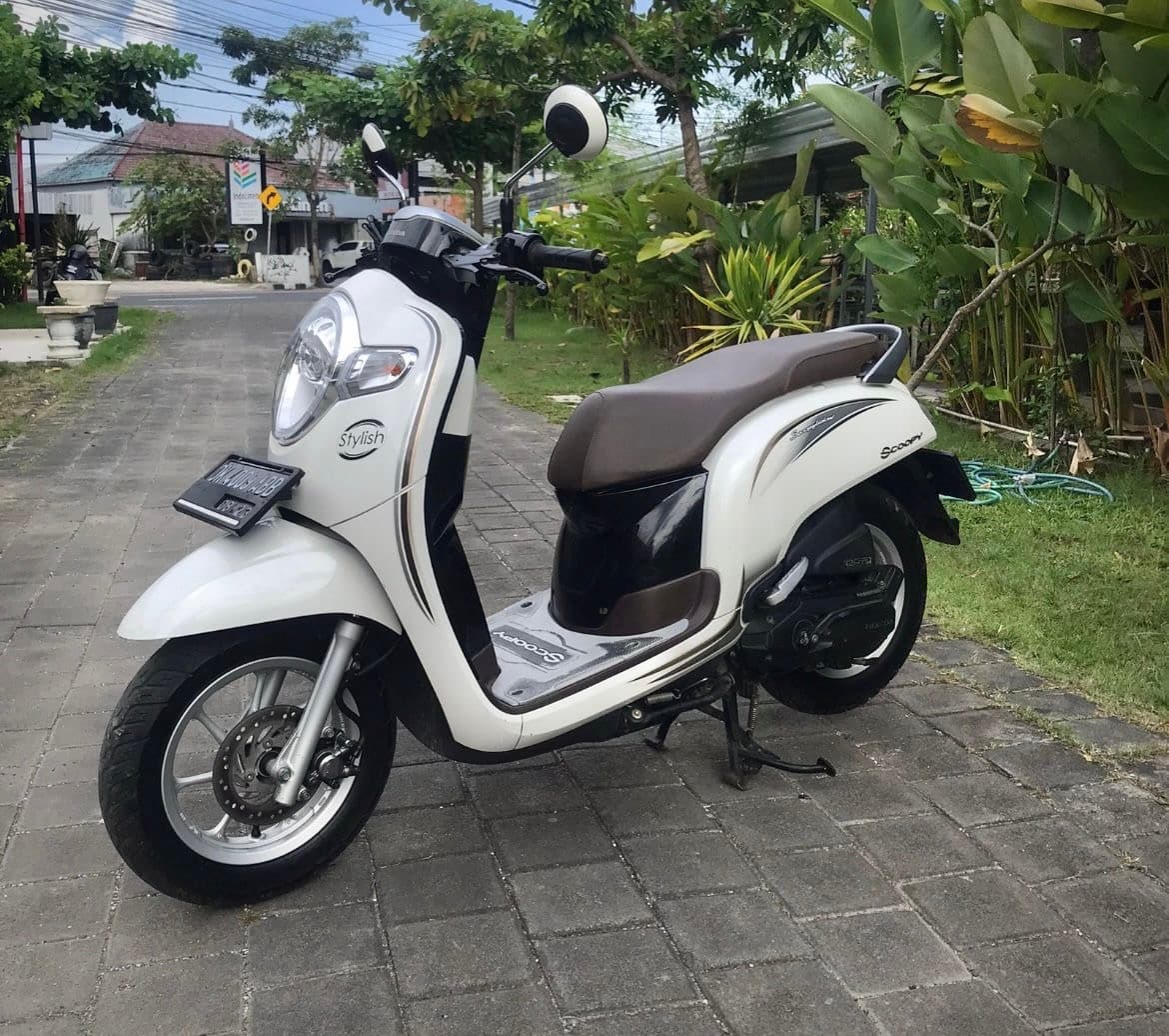 Honda Scoopy Stylish motorbike rental (1/3)