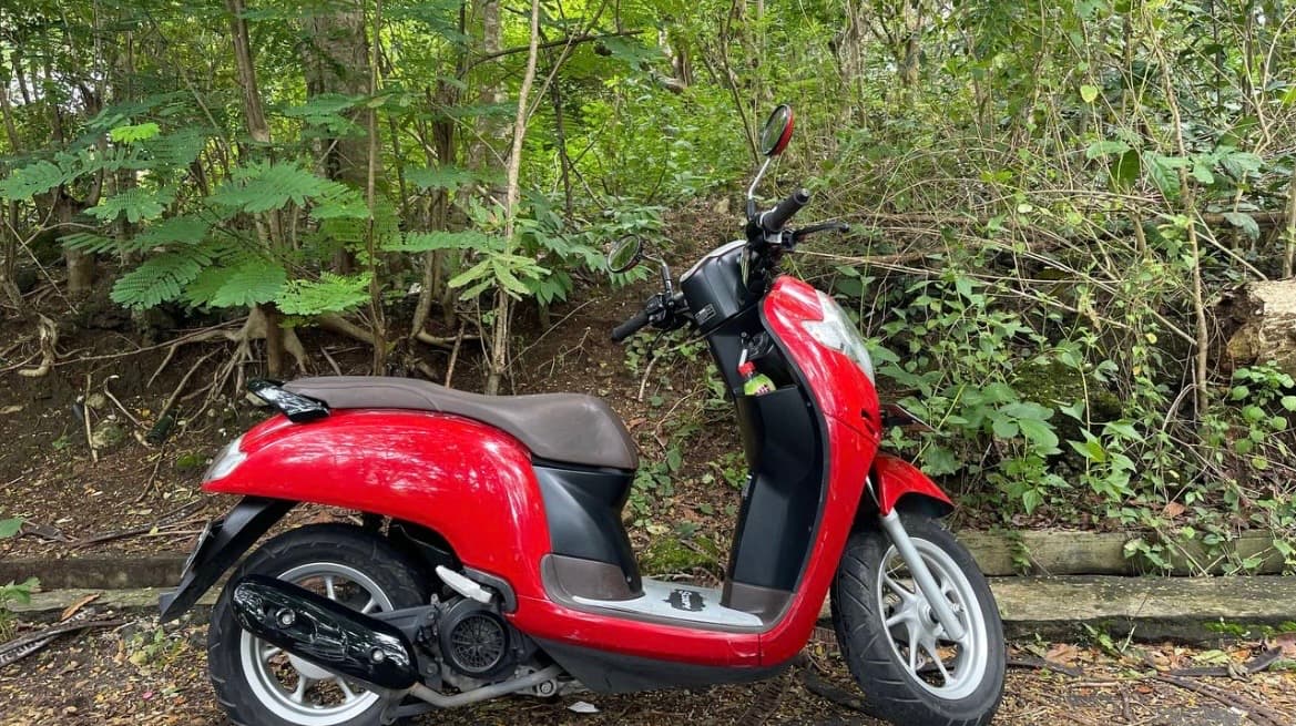 Rental motor Honda Scoopy (1/2)