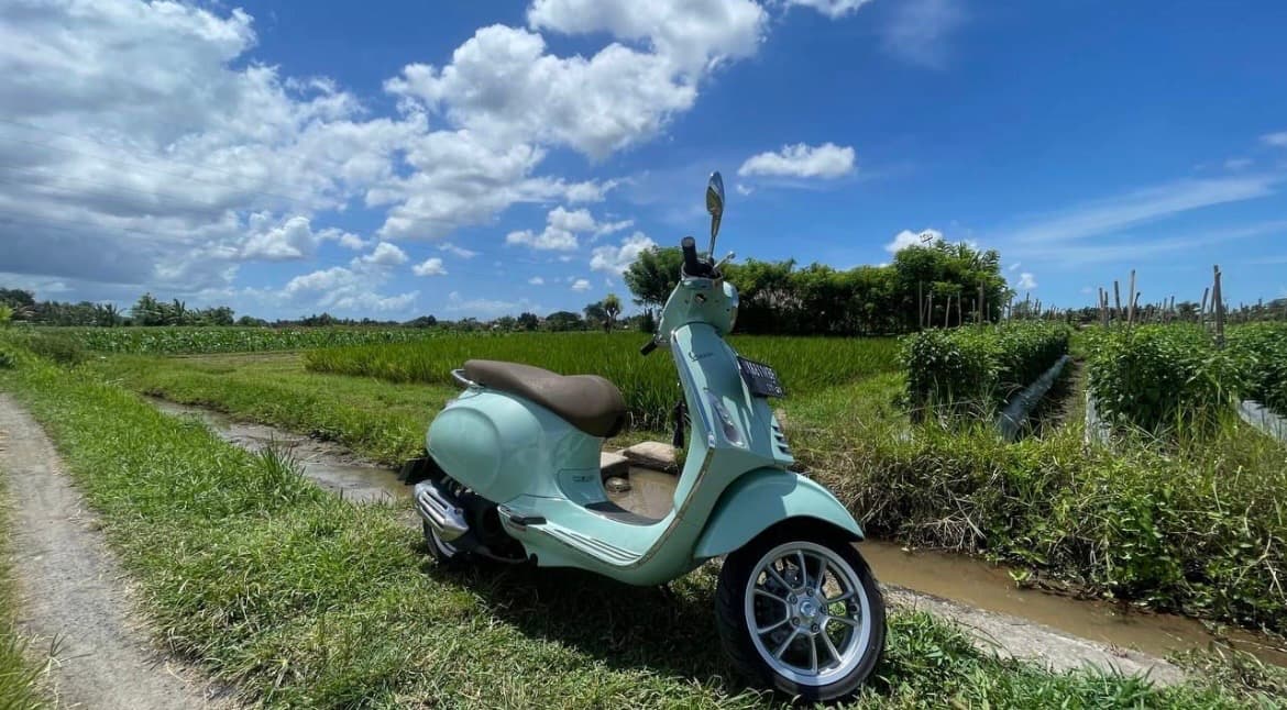 LOCATION VESPA PRIMAVERA 150 (1/3)