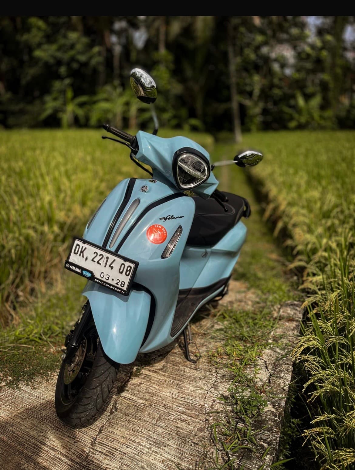 LOCATION YAMAHA FILANO (1/3)