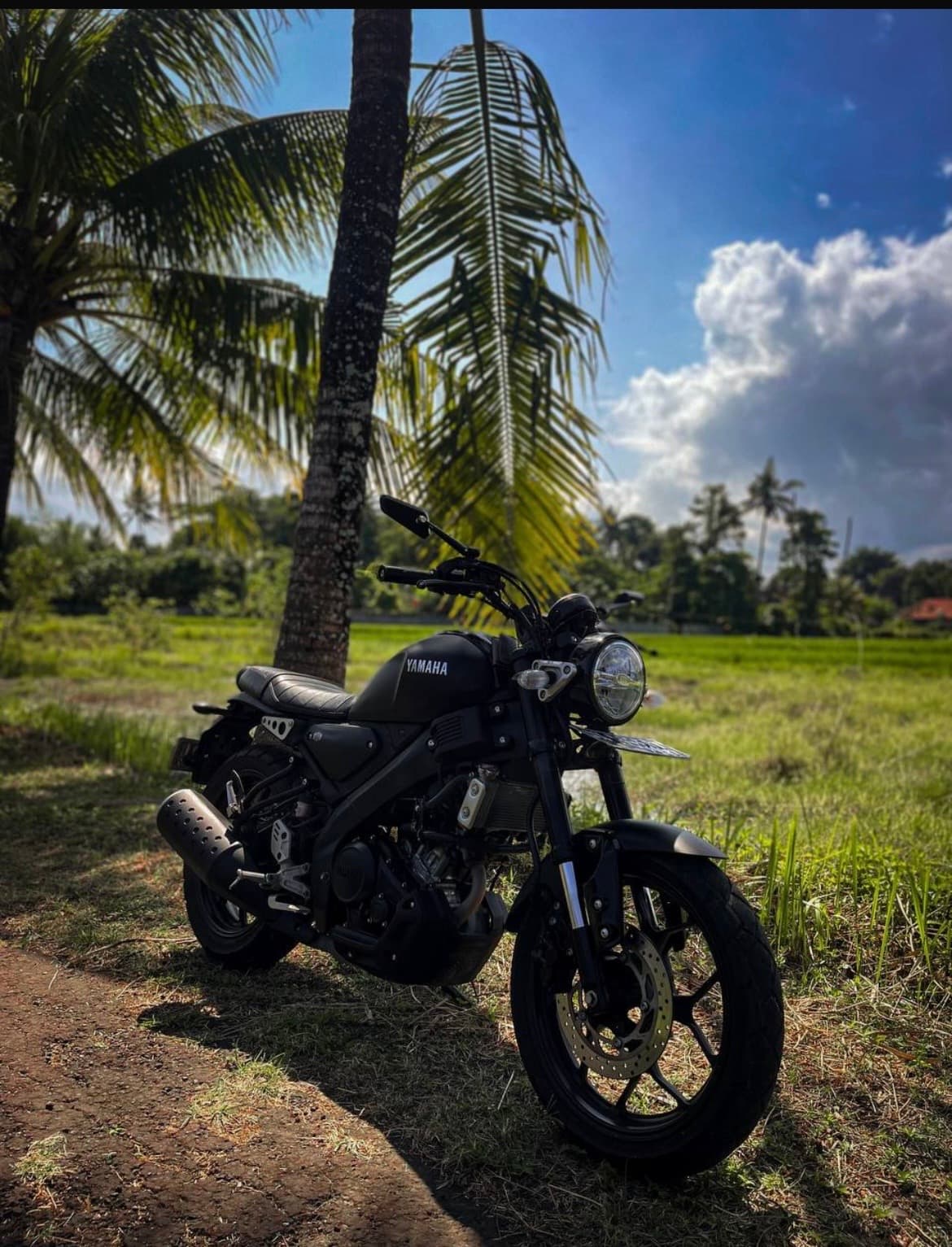 Yamaha XSR 155 motorbike rental (1/2)