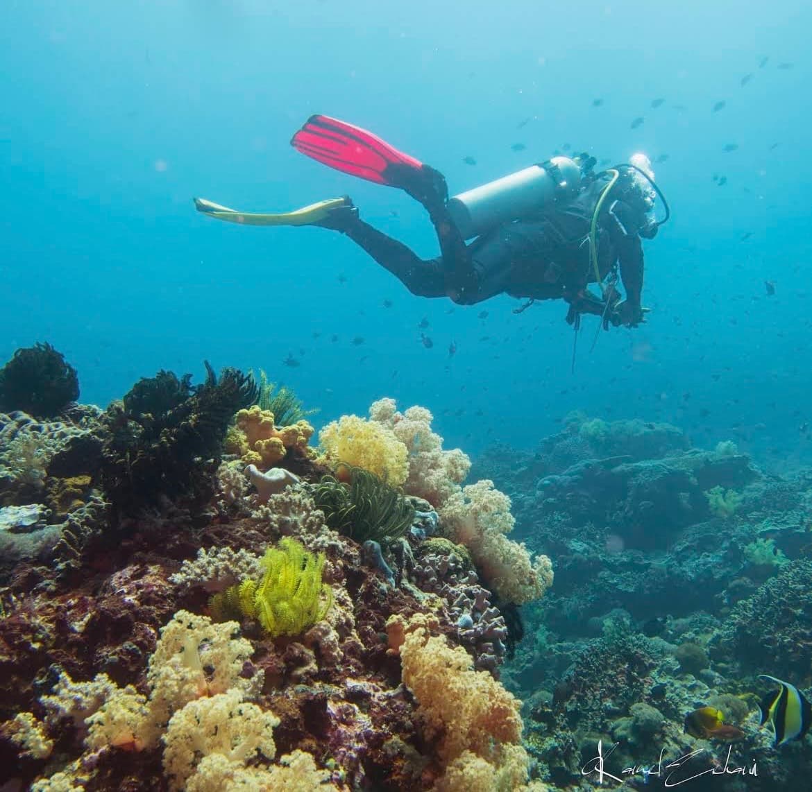 SSI Open Water Diver Course (1/3)