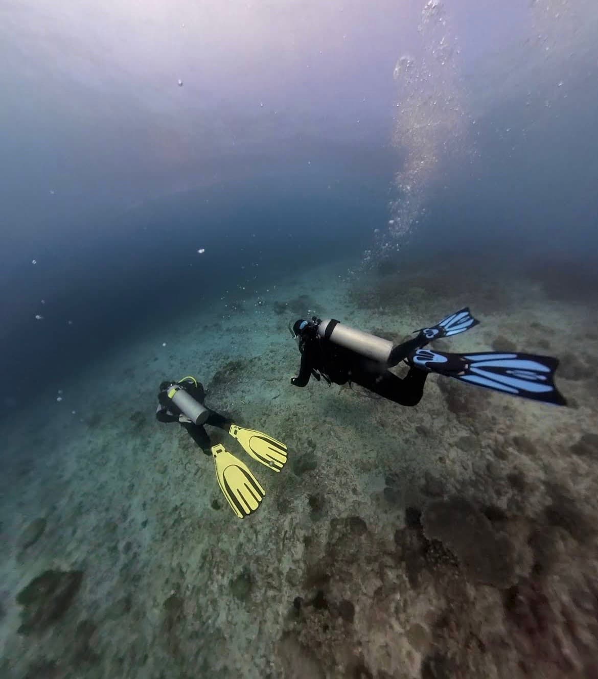 SSI Open Water Diver Course (1/3)