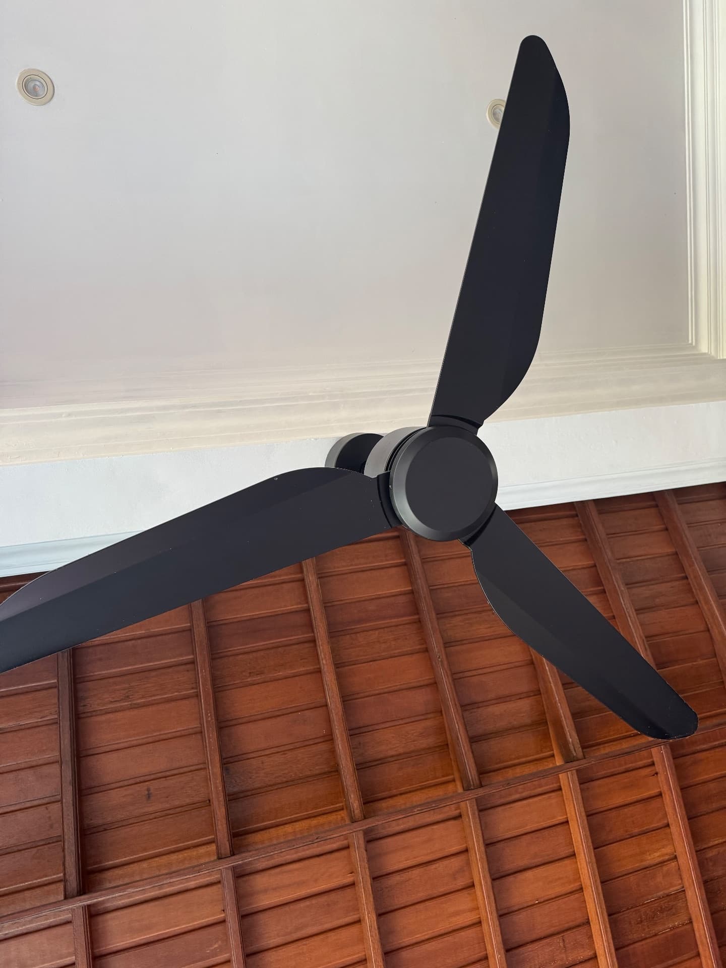 Set of 3 fans black color or separate purchase (1/3)