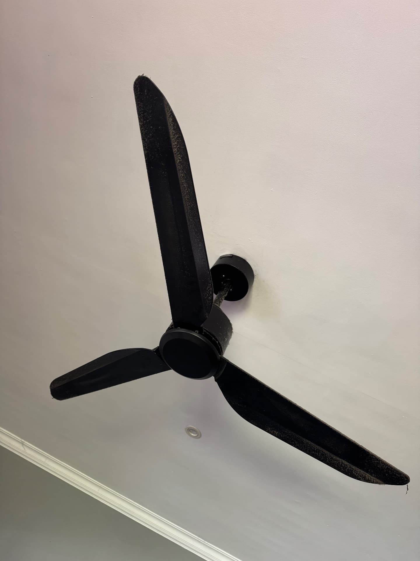 Set of 3 fans black color or separate purchase (1/3)
