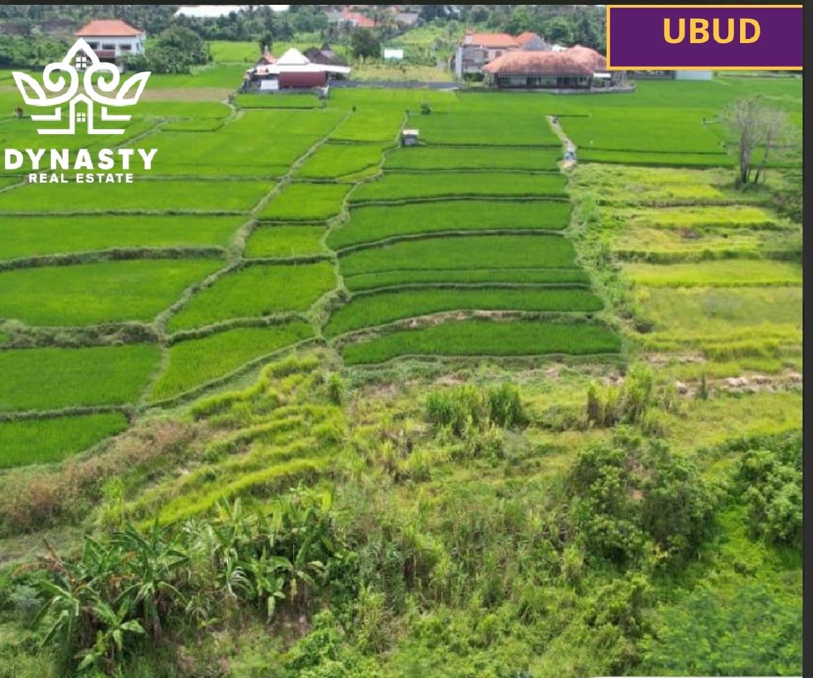 Strategic Land for Sale – Ubud, Bali (1/3)