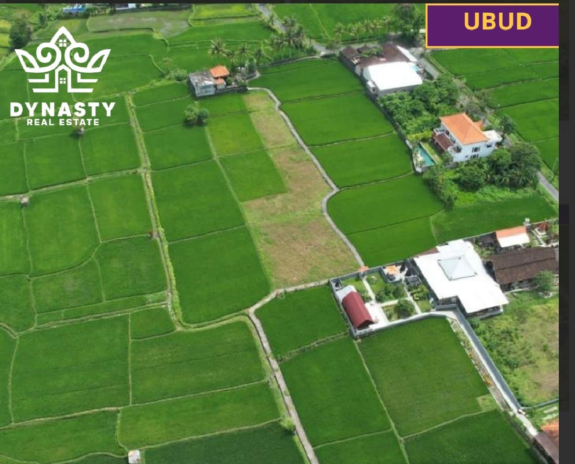 Strategic Land for Sale – Ubud, Bali (1/3)