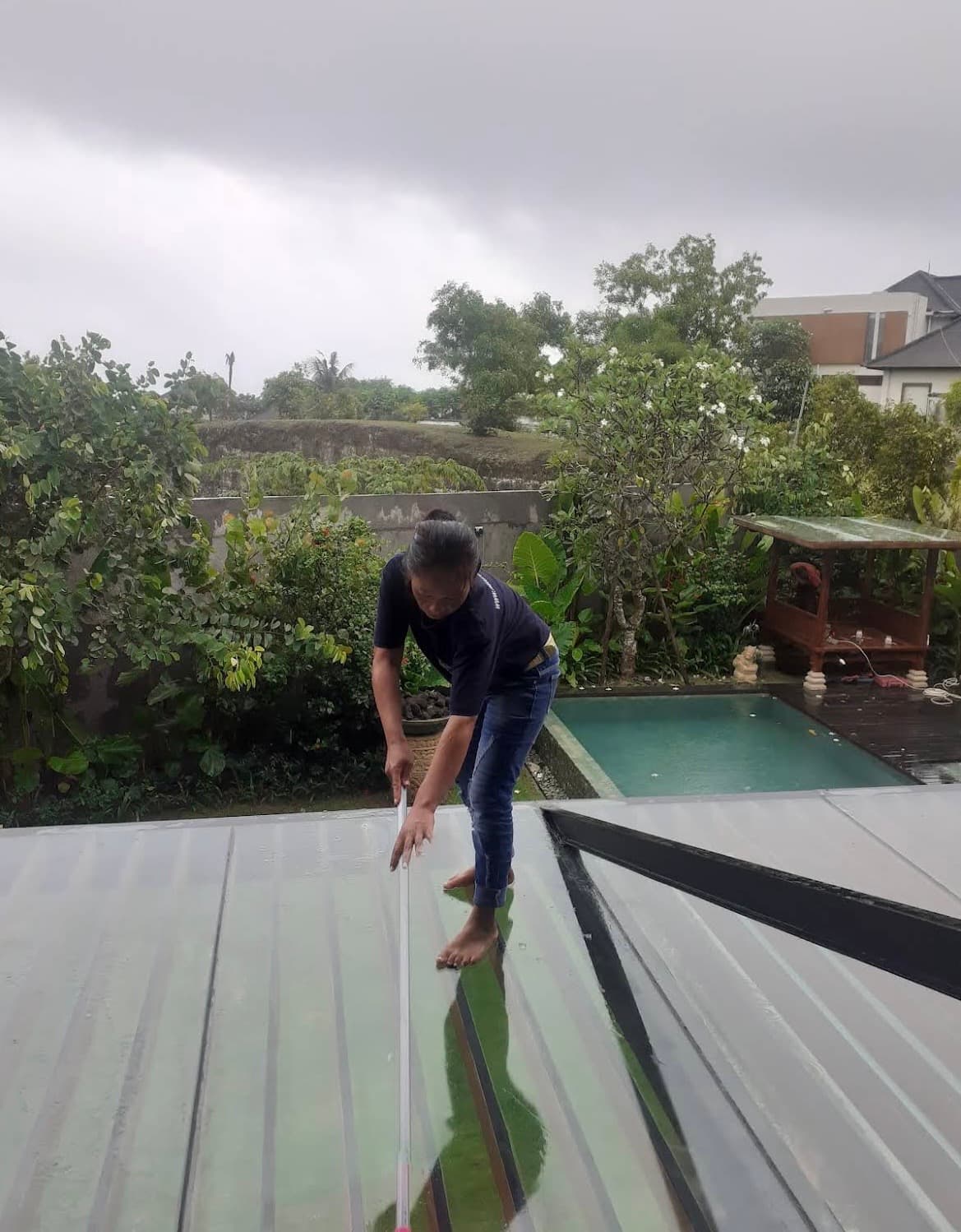 Natural Cleaning – Jasa Pembersih Rumah (1/3)
