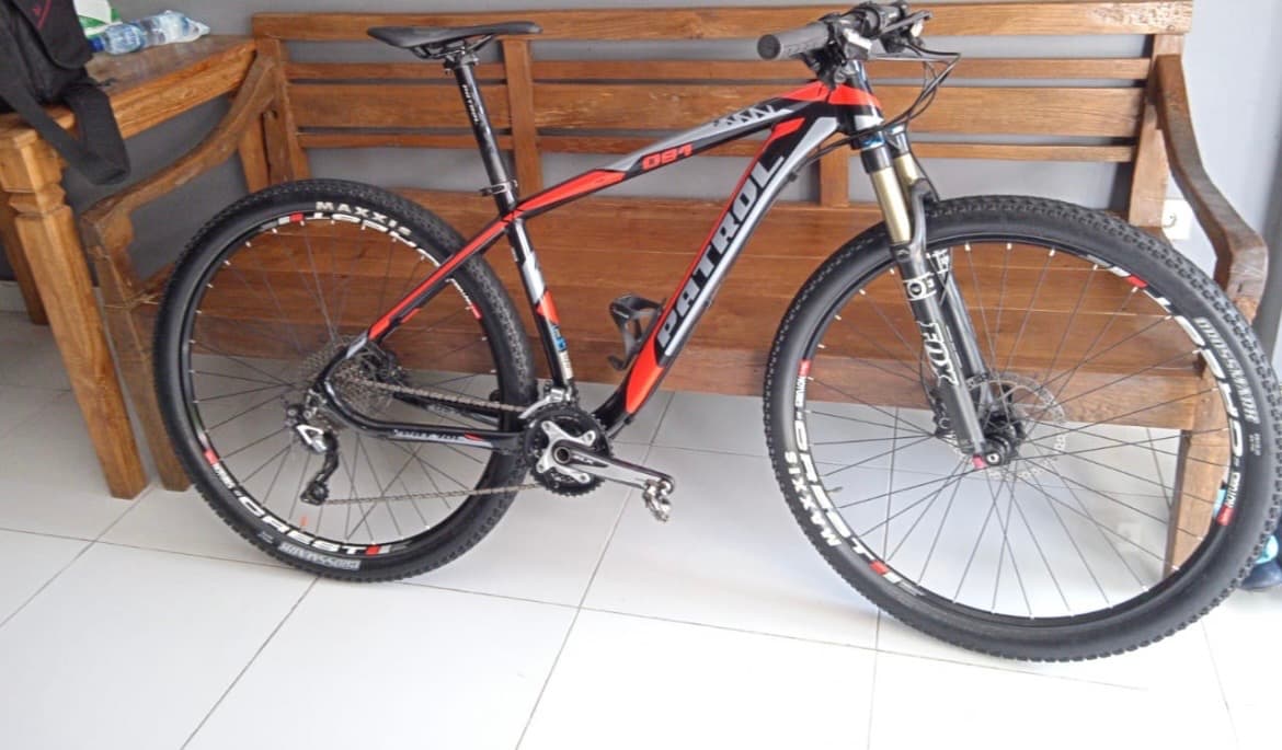 Polygon MTB 29er (1/3)