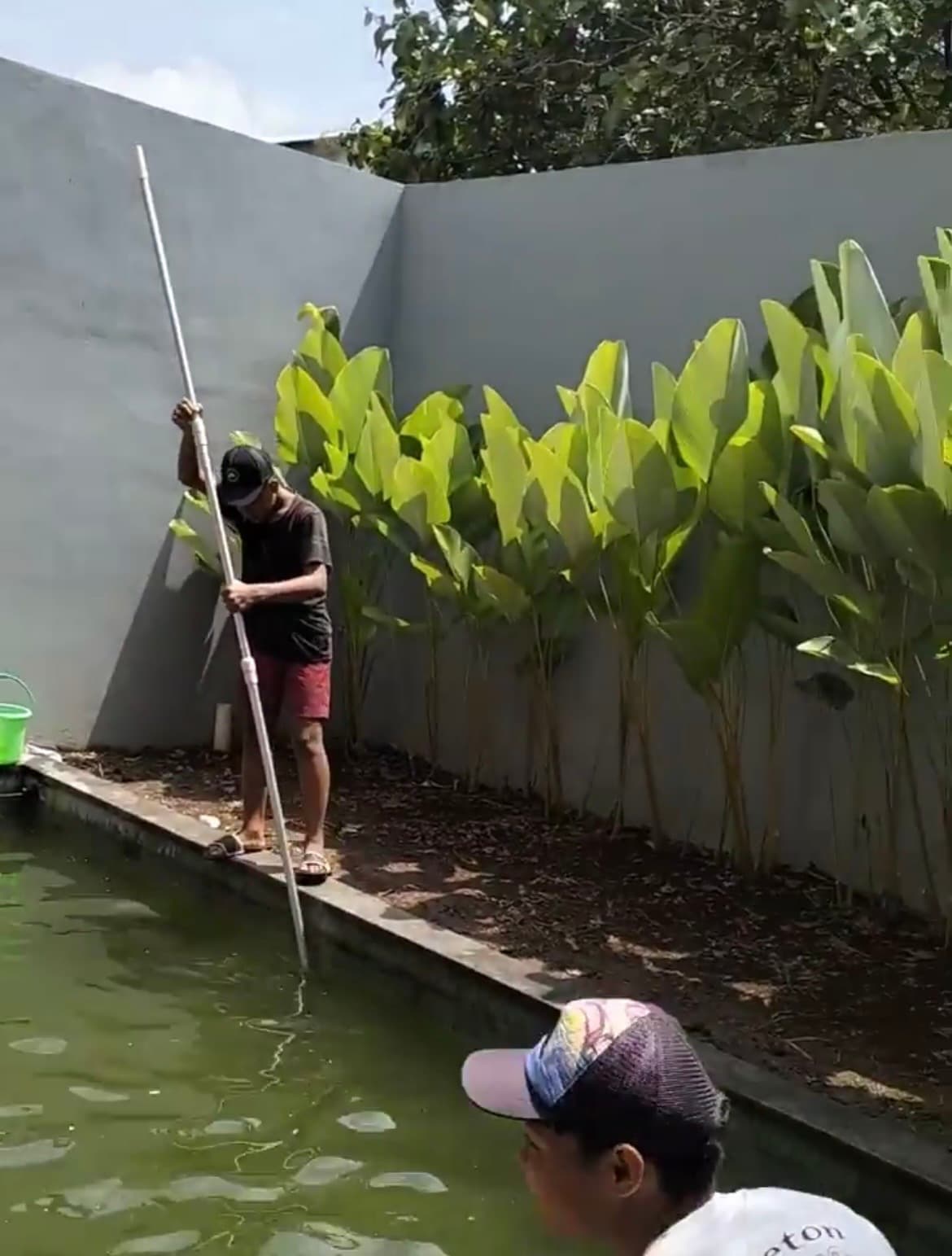 Swimming Pool Cleaning Service (1/3)