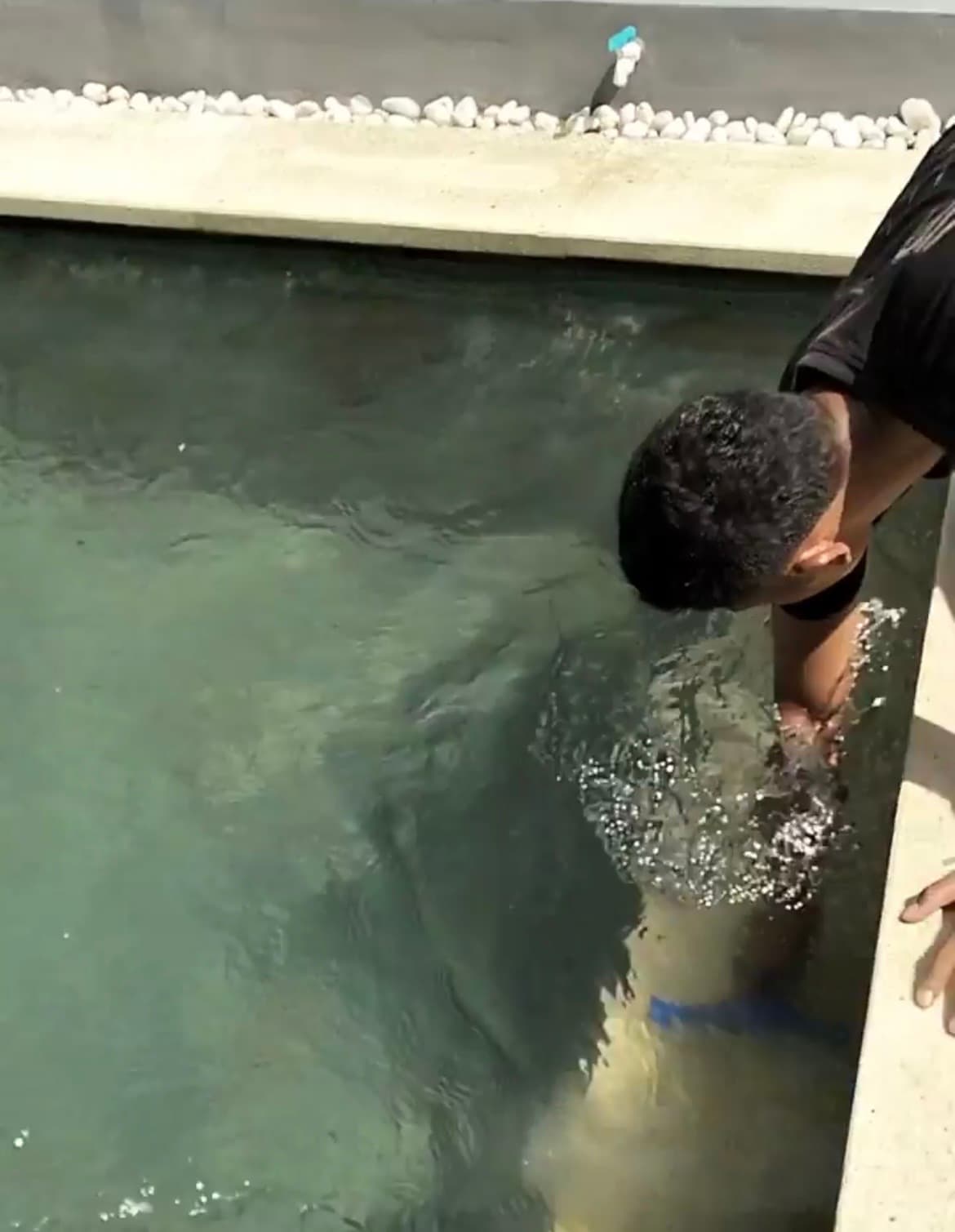 Swimming Pool Cleaning Service (1/3)