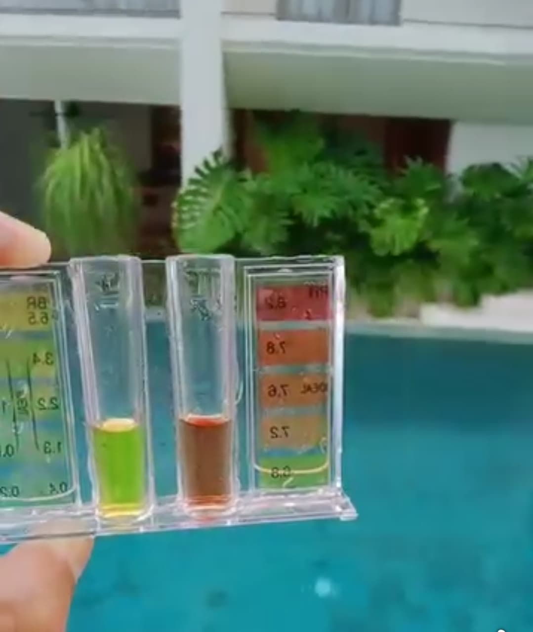 Service d'entretien de piscine (1/3)