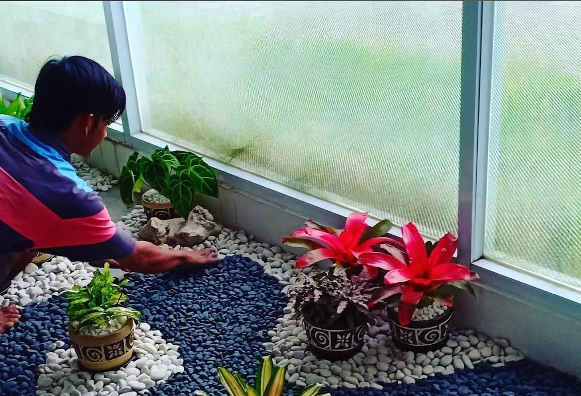 Jardinier & Paysagiste (1/3)