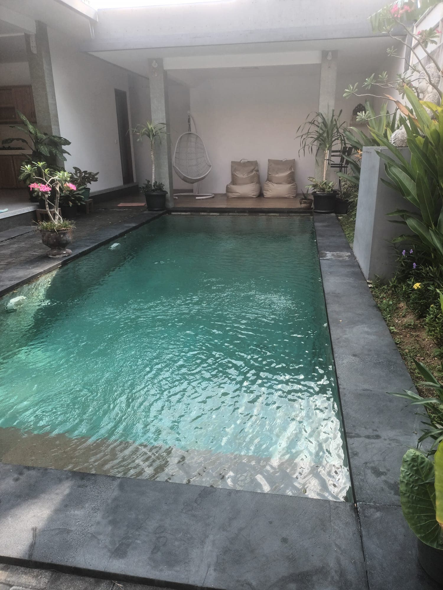 Villa 2 bedrooms Umalas Yearly Rental (1/3)