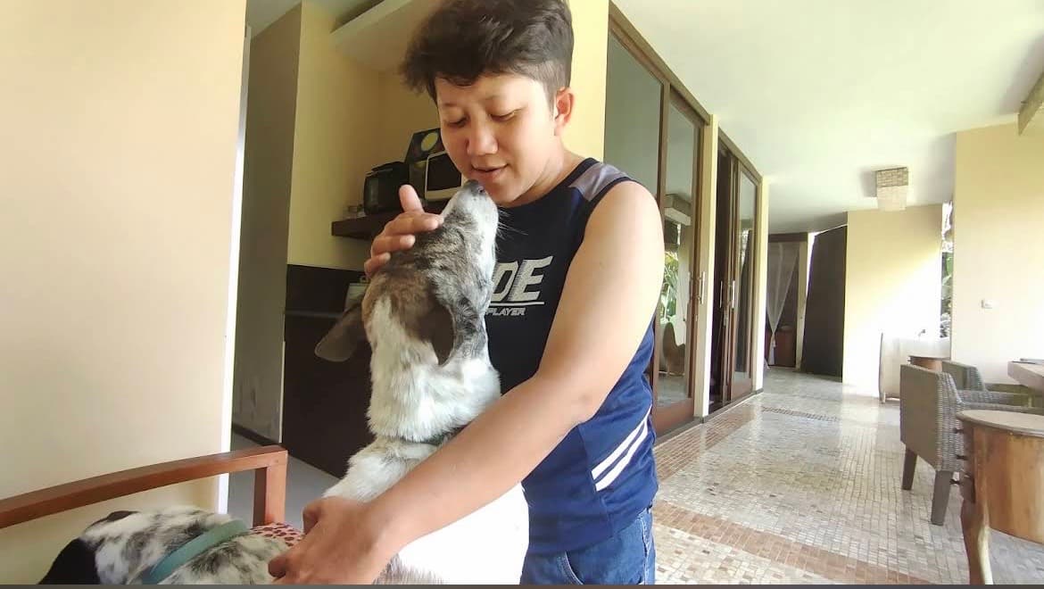 Service de Pet Sitter (1/3)