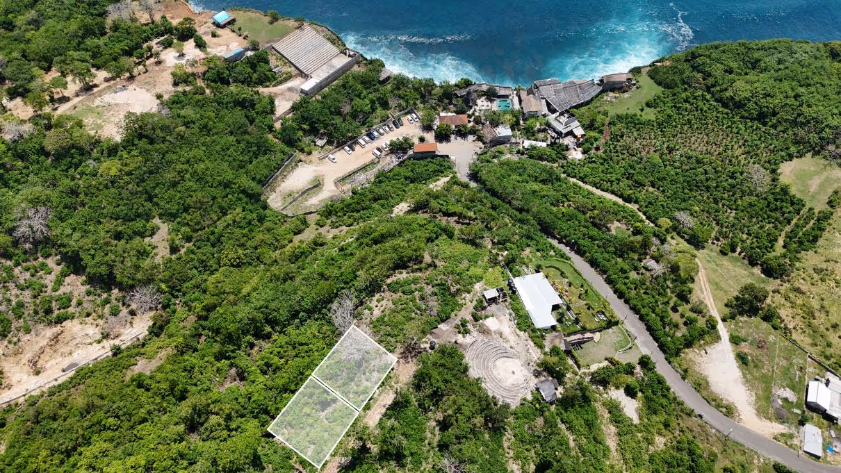 Alaya Land – 6.28 Are Leasehold Land with Ocean & Jungle Views — photo 1