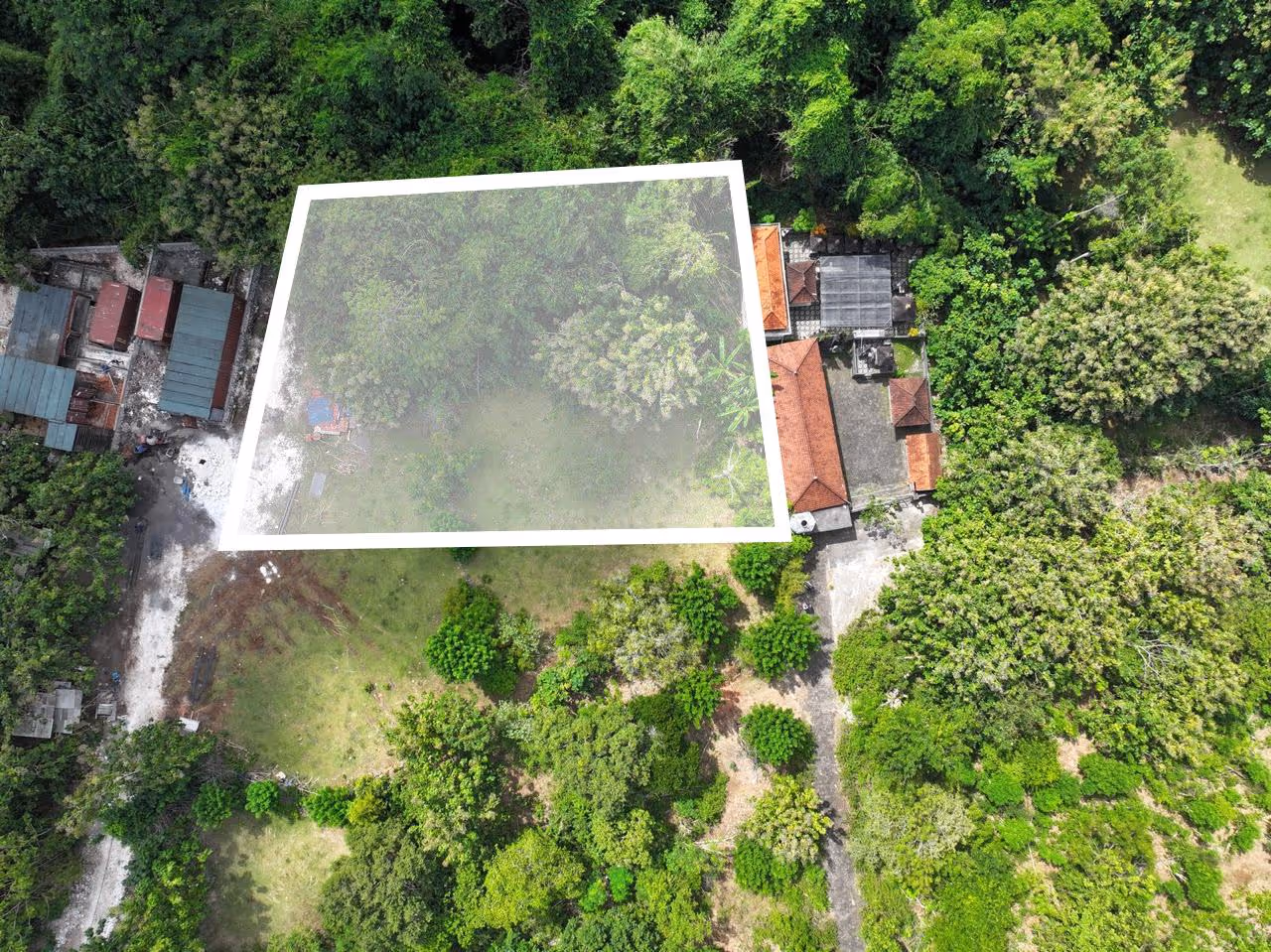 Land Victor – Terrain de 900 m² en cadre jungle avec accès par deux routes (1/4)