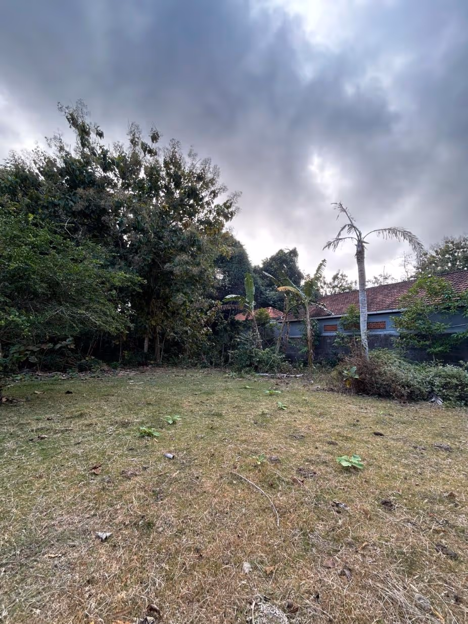 Femi Land - Tanah Leasehold 300 m² di Ungasan dengan Zoning Kuning (1/5)