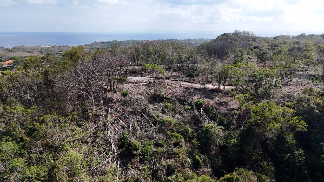 Alaya Land – 6.28 Are Leasehold Land with Ocean & Jungle Views (1/7)