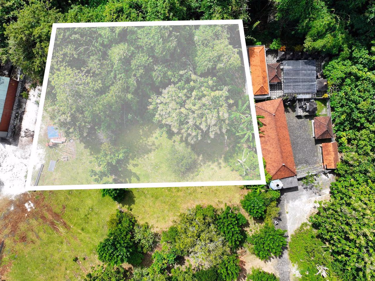 Land Victor – Terrain de 900 m² en cadre jungle avec accès par deux routes (1/4)
