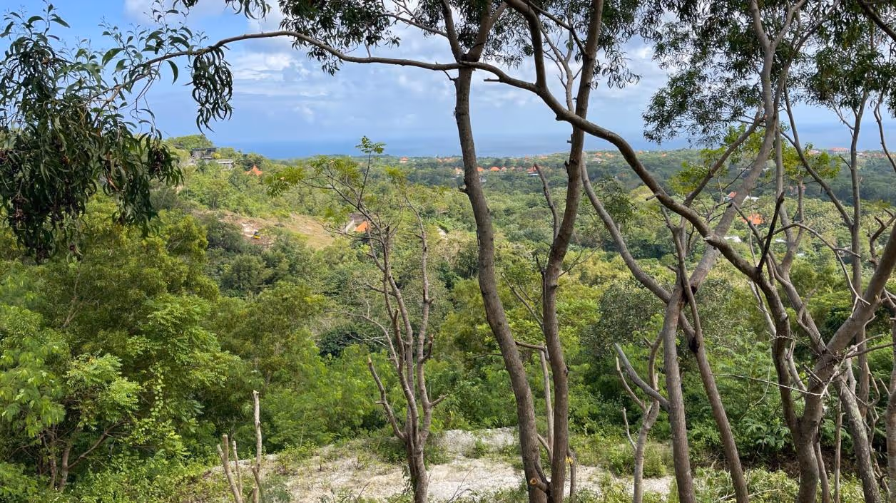 Luzie Plot – Terrain Enlacé par la Jungle avec Horizon Océanique dans le Sud de Bali (1/8)