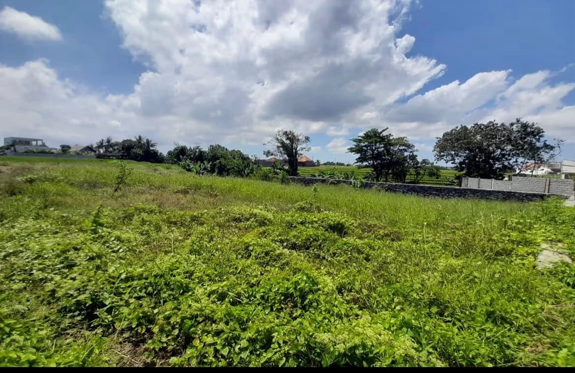 572 m² Leasehold Land in Seseh — photo 1