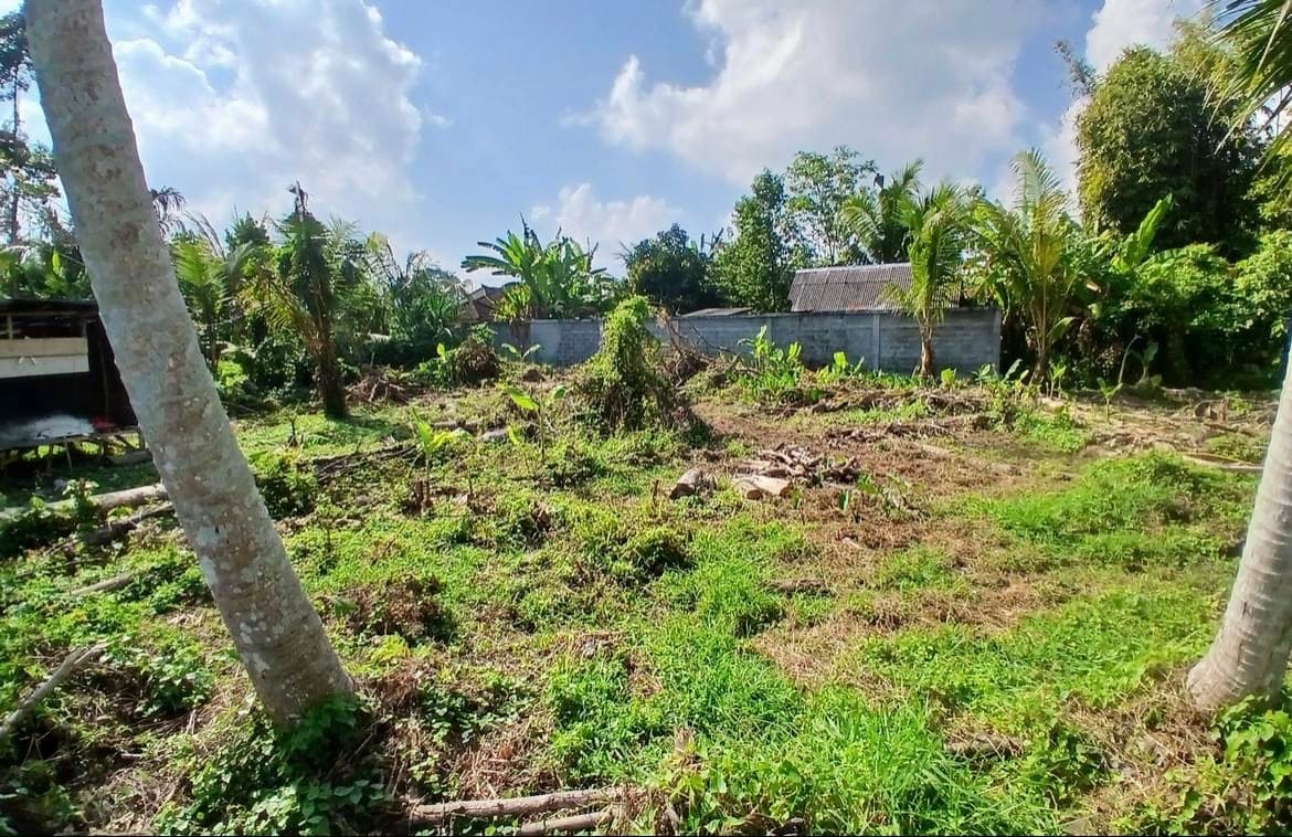 Tanah Leasehold 720 m² di Kedungu, Tabanan (1/3)
