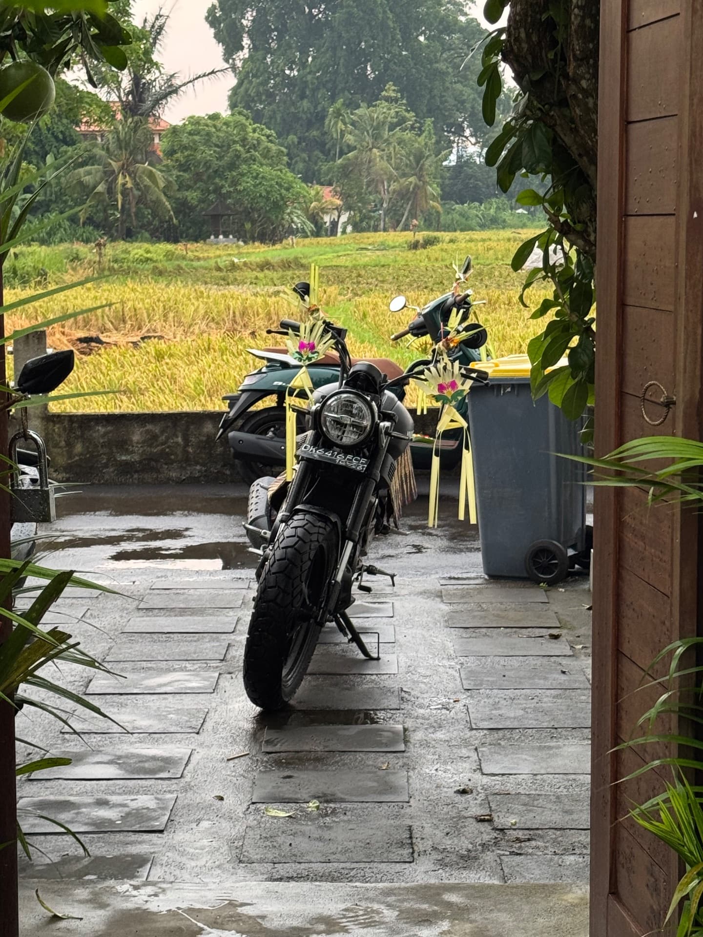 Yamaha XSR155 (1/5)