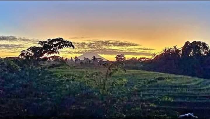 Introvert house with a view at Tabanan (1/5)