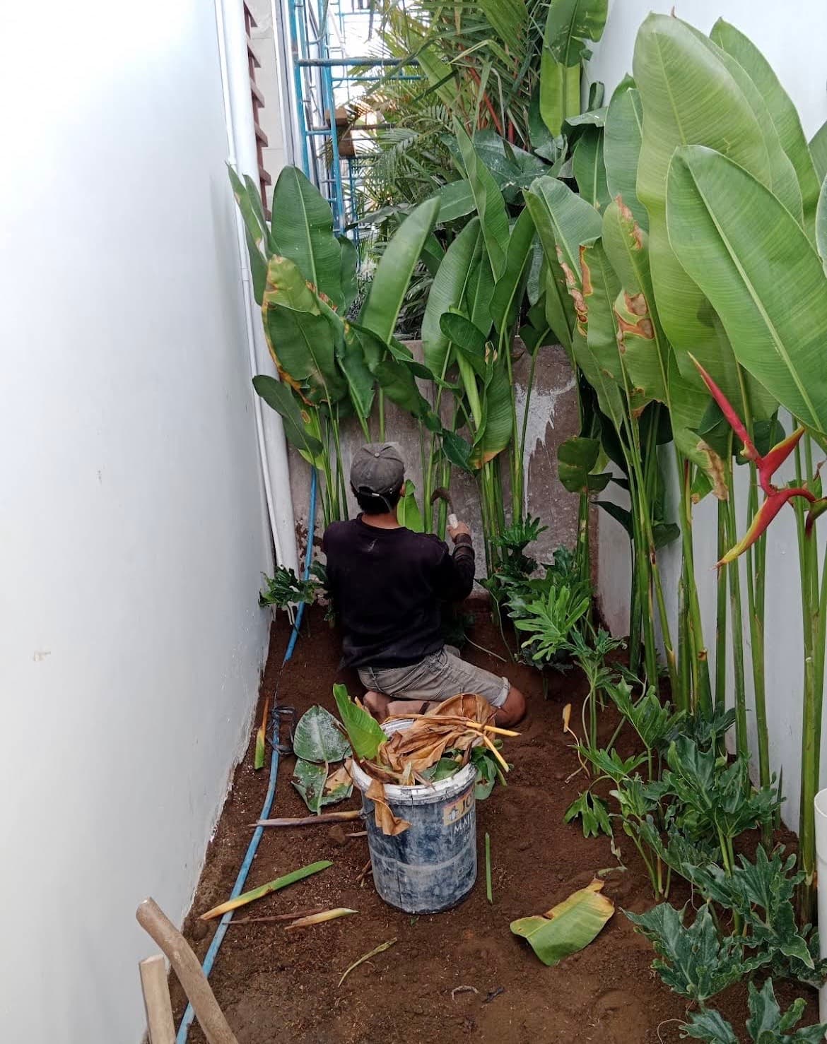Pak Muji – Services de Jardinier & Entretien de Jardin (1/3)