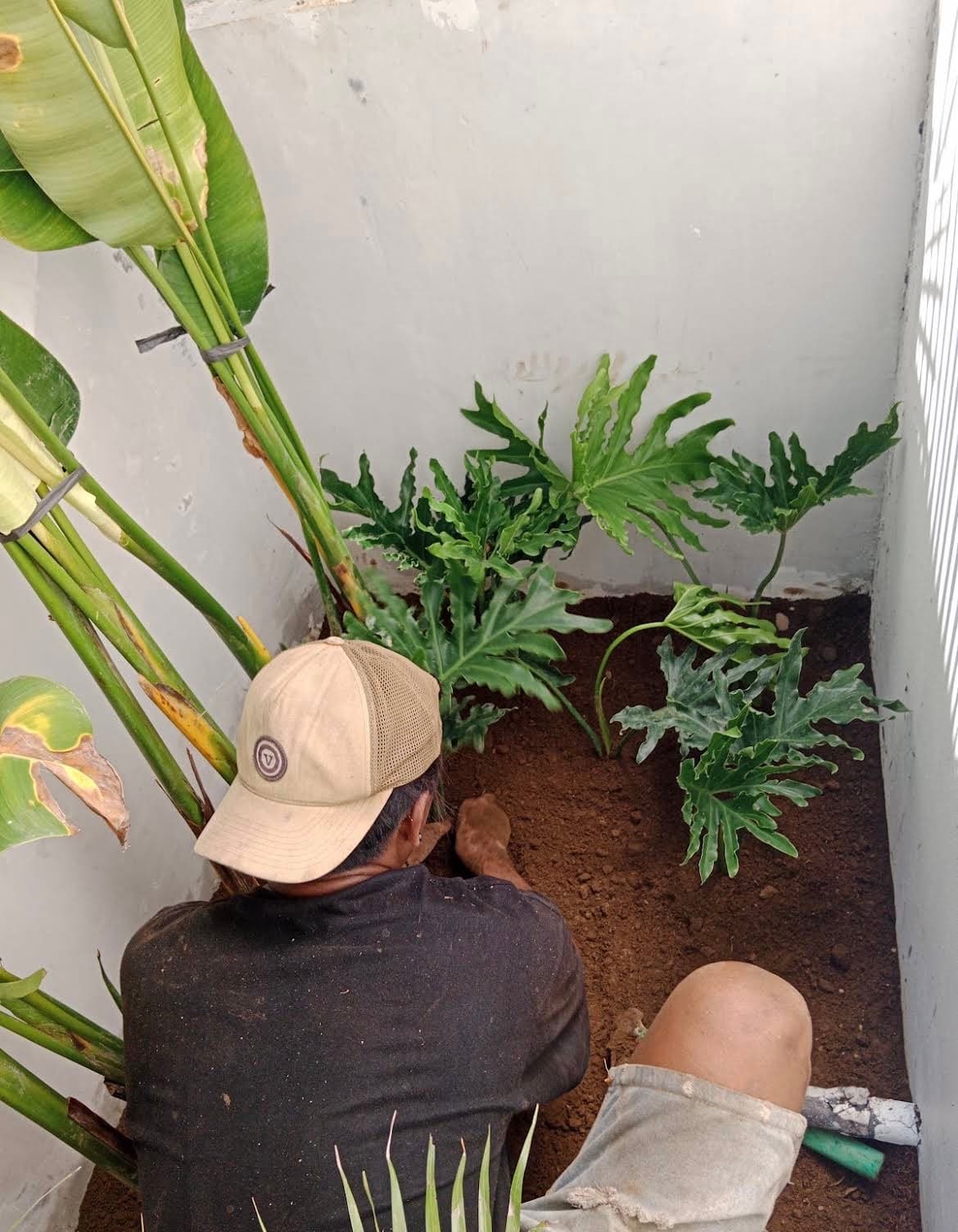Pak Muji – Services de Jardinier & Entretien de Jardin (1/3)