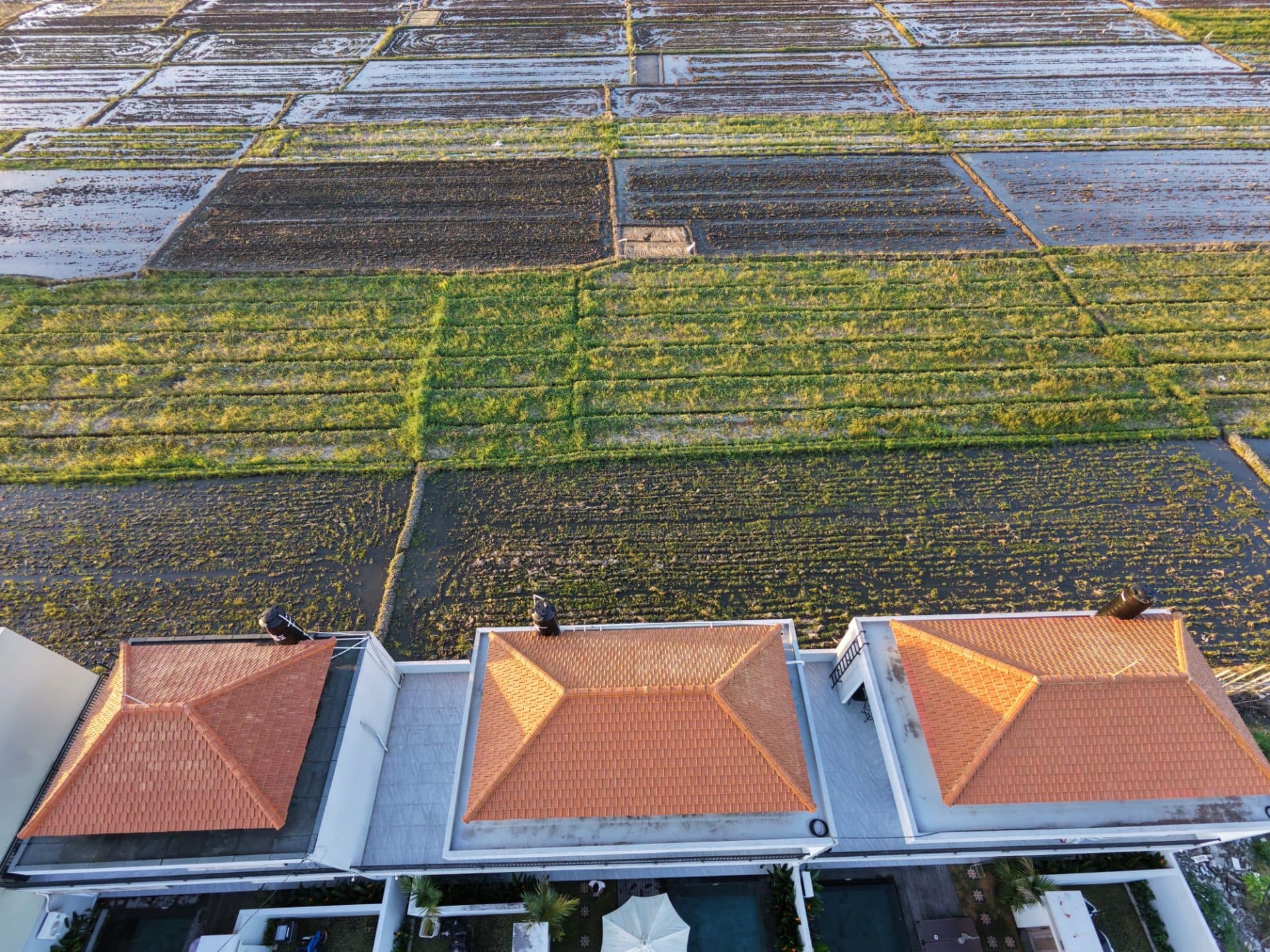 2 Bedroom Villa with Huge ricefield view (1/3)
