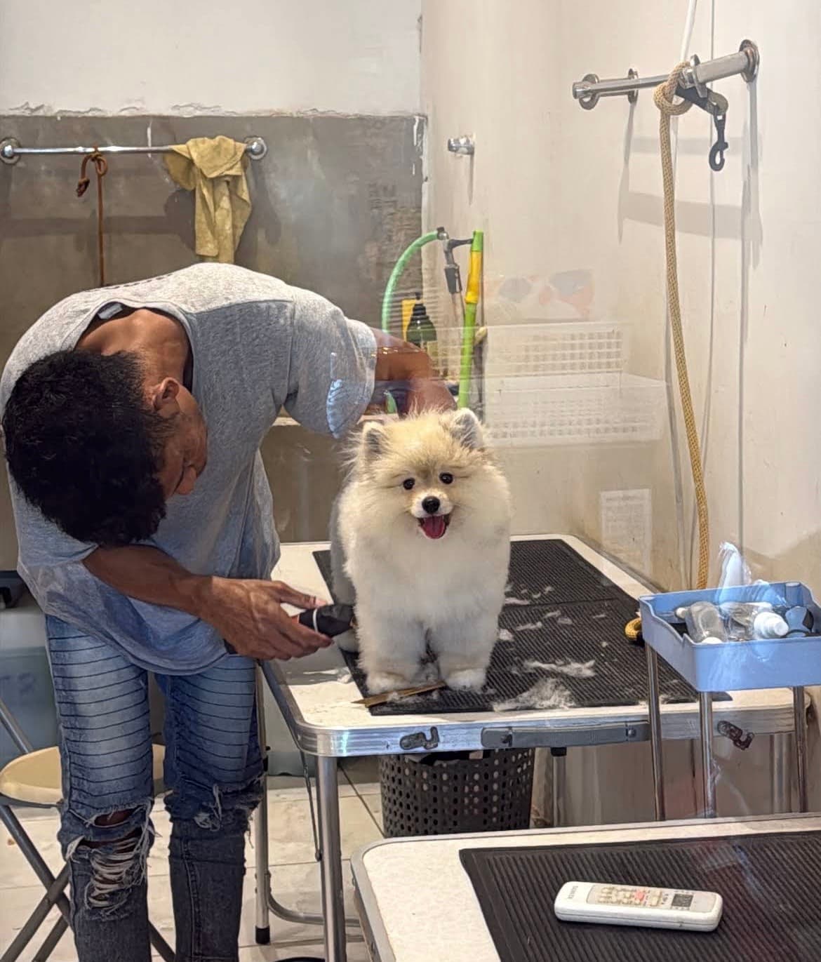 PET GROOMING BALI – Grooming Hewan Peliharaan Home Service (1/3)