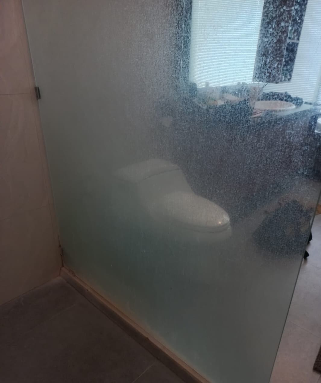 SHOWER GLASS CLEANING (1/2)