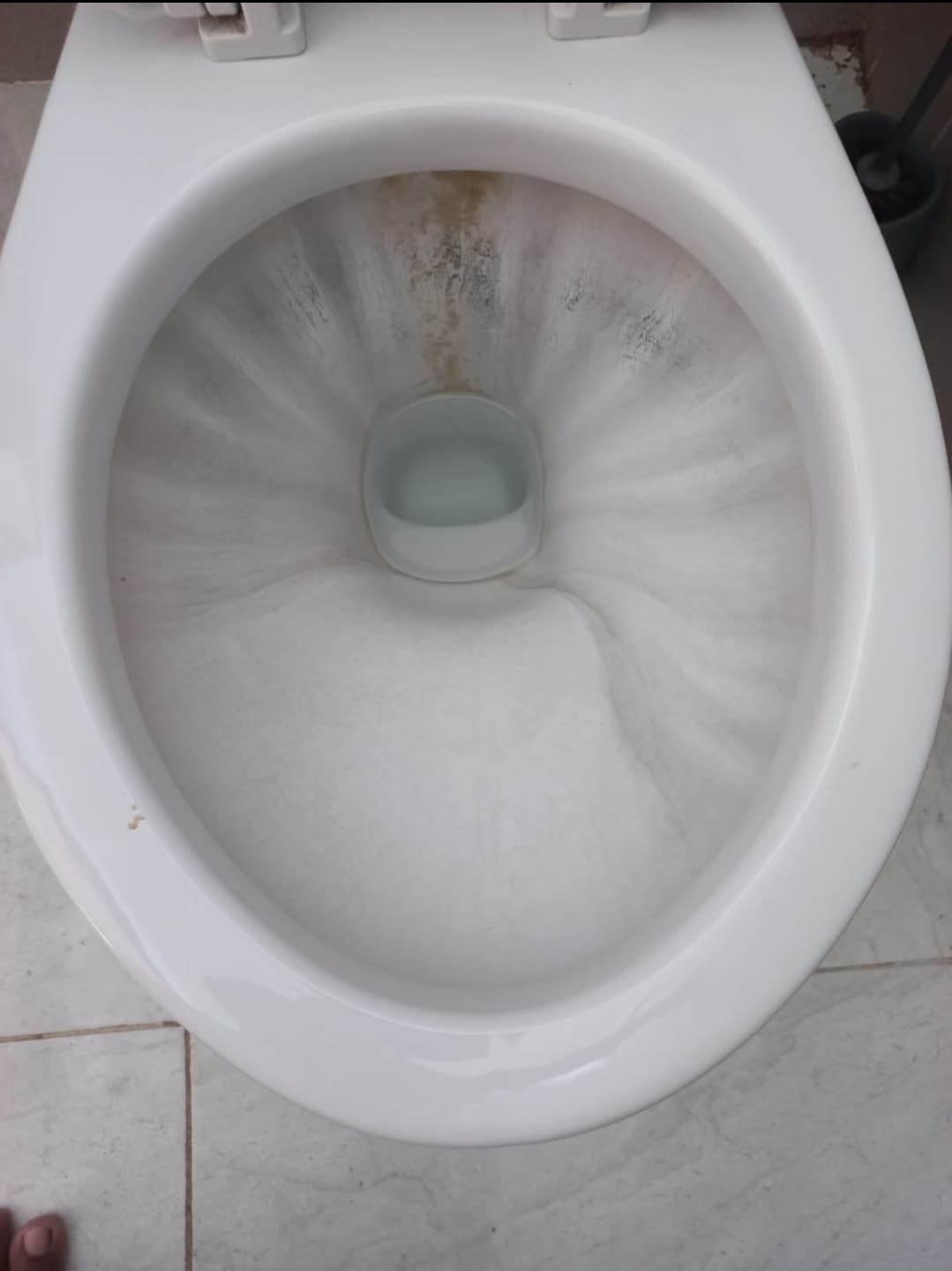 Toilet bowl/closet cleaning (1/2)
