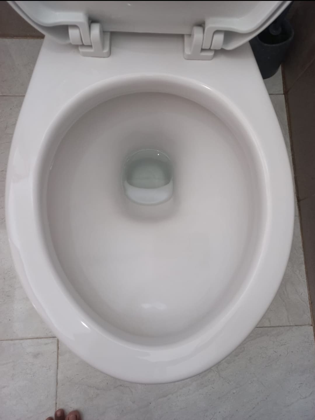 Toilet bowl/closet cleaning (1/2)